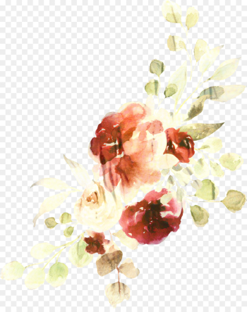 Kpop, Pledis Girlz, Watercolor Painting, Watercolor Paint, Flower PNG