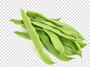 Lablab Broad bean Common Bean Vegetable, black beans transparent background PNG clipart