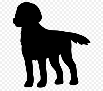 Labrador Retriever Puppy Dog breed Gun dog - Labrador Retriever Puppy Dog breed Gun dog -