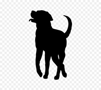 Labrador Retriever Puppy Dog breed Smooth Collie Rough Collie - puppy 