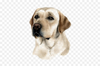 Labrador Retriever Puppy Purebred dog Watercolor painting - Pet Labrador dog 