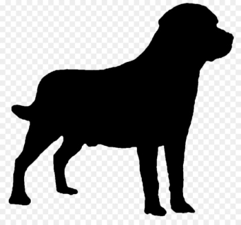 Labrador Retriever Sticker Spain Image Bull - Labrador Retriever Sticker Spain Image Bull -