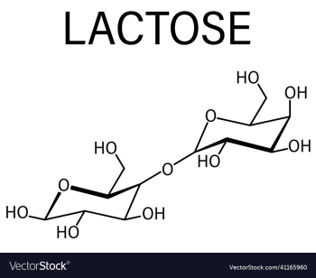 lactose milk sugar molecule skeletal formula lactose milk sugar molecule skeletal formula