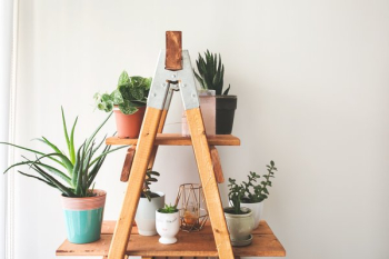 Ladder Plant Shelf Ladder Plant Shelf
