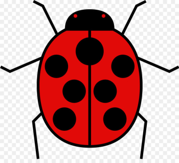 Ladybird beetle Clip art Computer file Image - beetle Ladybird beetle Clip art Computer file Image - beetle