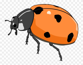 Ladybug Lady Bug Clip Art Bug Flower Leaf Branch Clipart - Orange Lady Bug Clip Art Ladybug Lady Bug Clip Art Bug Flower Leaf Branch Clipart - Orange Lady Bug Clip Art