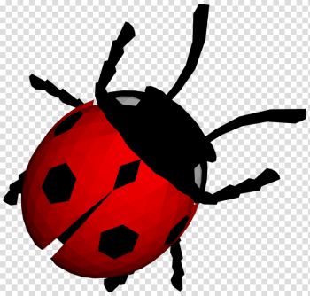 Ladybug Png Image