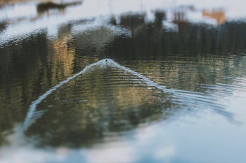 Lake Lake