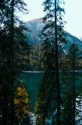 Lake Moraine Lake Moraine