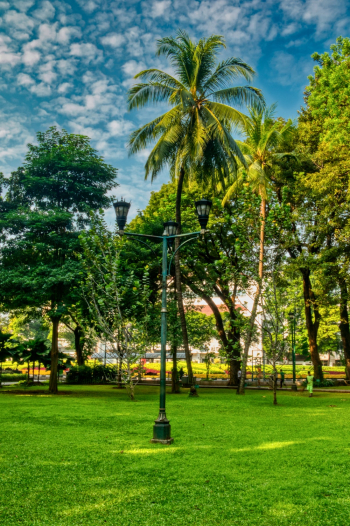 Lamp Post
