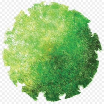 Landscape architecture Site plan Tree - tree top view Landscape architecture Site plan Tree - tree top view