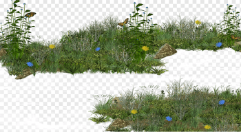 landscape graphy of green plants, Grass Shrub Lawn, Meadow grass, herbaceous Plant, landscape, cartoon Grass png