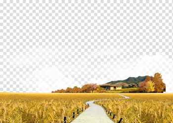 Landscape Icon, Autumn landscape material transparent background PNG clipart Landscape Icon, Autumn landscape material transparent background PNG clipart
