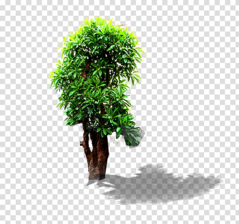 Landscape, Landscape tree transparent background PNG clipart Landscape, Landscape tree transparent background PNG clipart