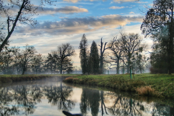 Landscape of River Forest Landscape of River Forest