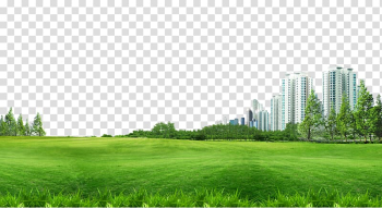 Landscape of two gray high-rise buildings across greenfield, Lawn , Building material pull grass background Free transparent background PNG clipart