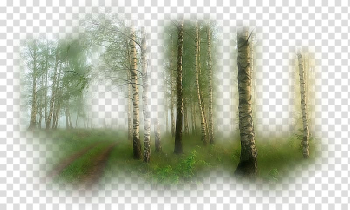 Landscape painting , painting transparent background PNG clipart Landscape painting , painting transparent background PNG clipart