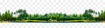 Landscape Park - Park view Landscape Park - Park view