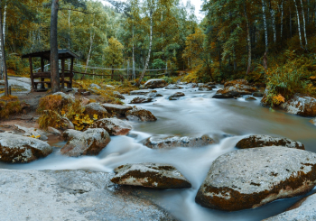Landscape Photo of a River Landscape Photo of a River
