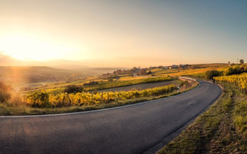 landscape photo of asphalt road landscape photo of asphalt road