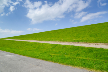 Landscape Photo of Green Grass Field Landscape Photo of Green Grass Field