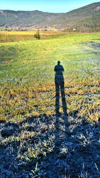 Landscape Photo of Green Grass Field Landscape Photo of Green Grass Field