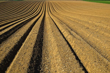 landscape photo of soil landscape photo of soil