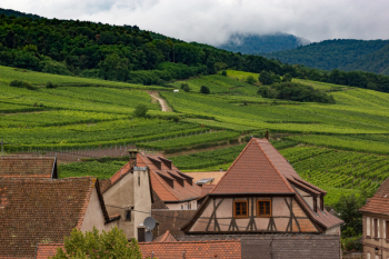 Landscape Photograph of Town Near Cropfield
