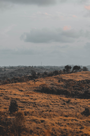 Landscape Photography Landscape Photography
