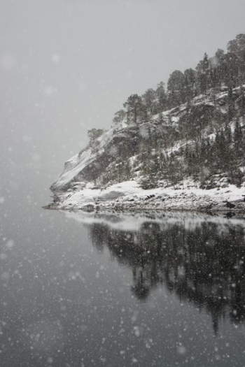 landscape photography of alps mountain landscape photography of alps mountain