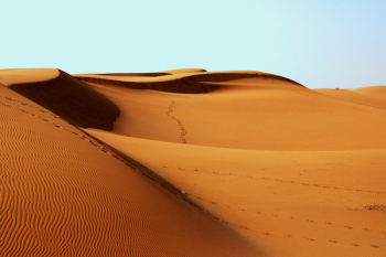 Landscape Photography of Desert Landscape Photography of Desert