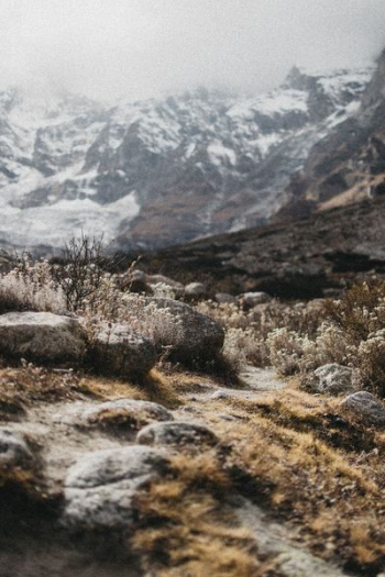 landscape photography of grass across mountain landscape photography of grass across mountain