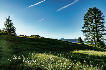 Landscape Photography of Green Field Landscape Photography of Green Field
