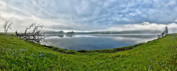 Landscape Photography of Green Grass Landscape Photography of Green Grass