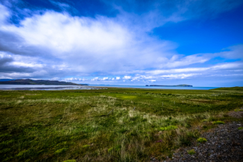 Landscape Photography of Green Grass Landscape Photography of Green Grass