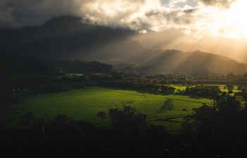 Landscape Photography Of Green Grass Field Landscape Photography Of Green Grass Field