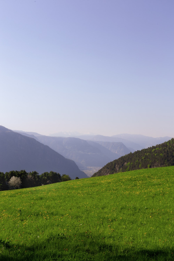 Landscape Photography of Green Grass Field Landscape Photography of Green Grass Field