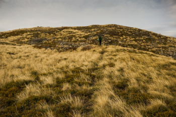 Landscape Photography of Green Grass Field Landscape Photography of Green Grass Field