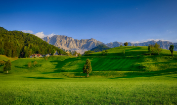 Landscape Photography Of Green Grass Field Landscape Photography Of Green Grass Field