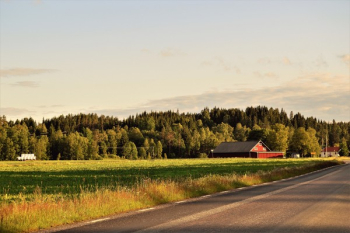 Landscape Photography of Green Grass Field Landscape Photography of Green Grass Field