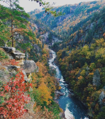 landscape photography of mountain river landscape photography of mountain river