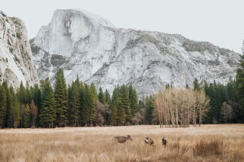 landscape photography of mountains landscape photography of mountains
