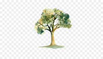 Landscape tree watercolor picture material Landscape tree watercolor picture material