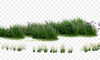 Landscaping Computer file - Plants flowers grass 