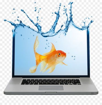 Laptop Advertising Notebook Business Marketing - Laptop and goldfish 