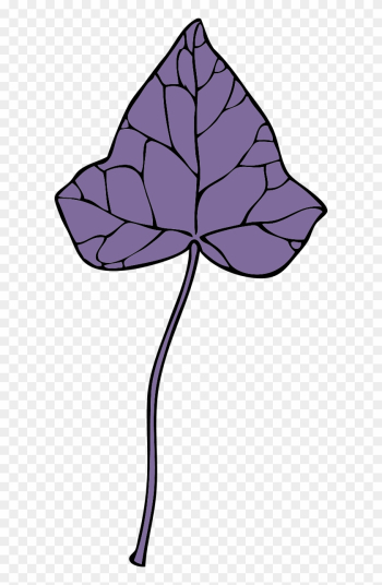 Large Ivy Leaf 7 0 7328 - Clip Art Large Ivy Leaf 7 0 7328 - Clip Art