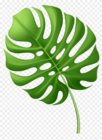 Large Tropical Leaf Png Clip Art Image - Vector Graphics