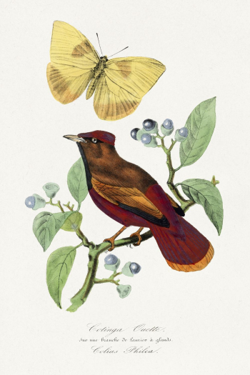 Larks painting, Le Jardin Des | Free Photo Illustration - rawpixel Larks painting, Le Jardin Des | Free Photo Illustration - rawpixel