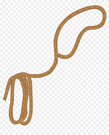 Lasso Cowboy Western Clip Art - Cowboy Rope Clipart Lasso Cowboy Western Clip Art - Cowboy Rope Clipart