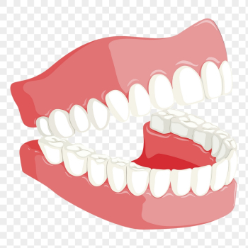 Laughing teeth png sticker illustration, | Free PNG - rawpixel